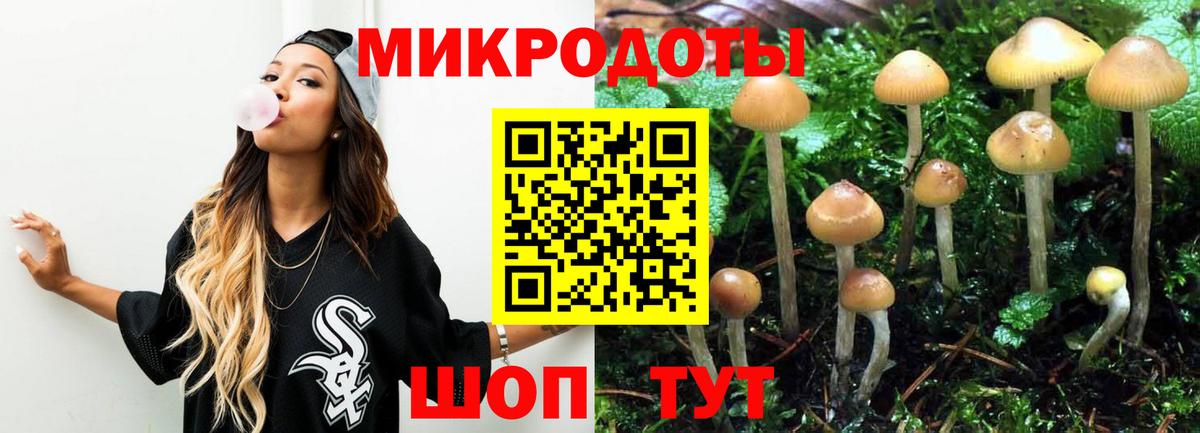 Псилоцибиновые грибы мухоморы  Вход с VPN  Алатырь  Псилоцибиновые грибы MAGIC MUSHROOMS 