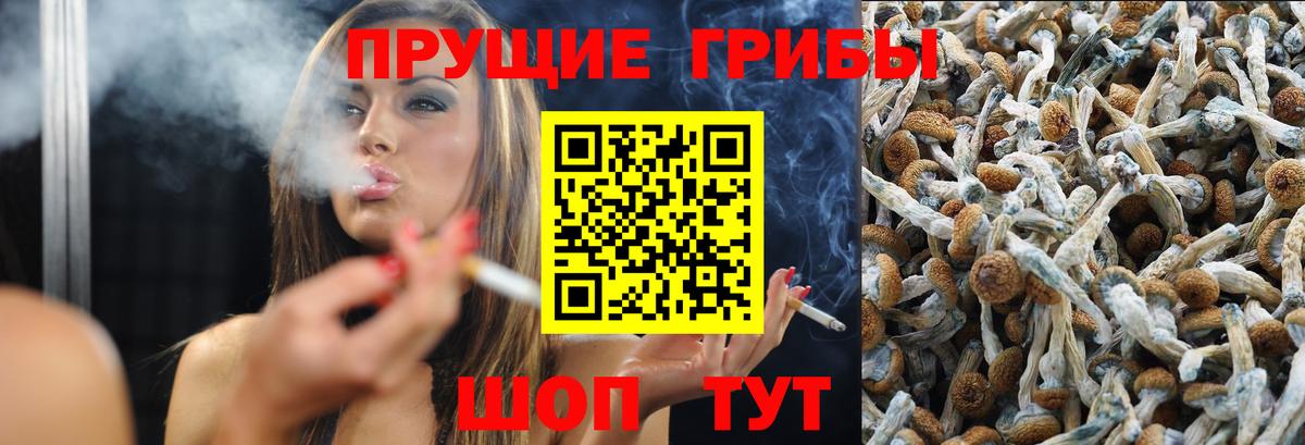 Галлюциногенные грибы мицелий Алатырь